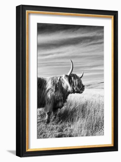 Majestic Gaze-James Guilliam-Framed Giclee Print