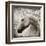 Majestic Horse-Eric Yang-Framed Art Print