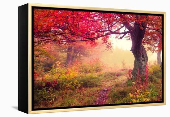 Majestic Landscape with Autumn Trees in Forest. Carpathian, Ukraine, Europe. Beauty World. Retro Fi-Leonid Tit-Framed Premier Image Canvas