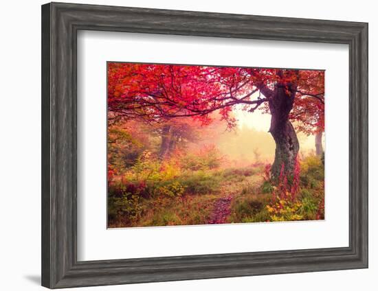 Majestic Landscape with Autumn Trees in Forest. Carpathian, Ukraine, Europe. Beauty World. Retro Fi-Leonid Tit-Framed Photographic Print