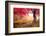 Majestic Landscape with Autumn Trees in Forest. Carpathian, Ukraine, Europe. Beauty World. Retro Fi-Leonid Tit-Framed Photographic Print