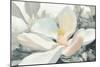 Majestic Magnolia Green Gray Crop-Julia Purinton-Mounted Art Print