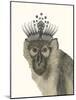 Majestic Monkey I-null-Mounted Art Print