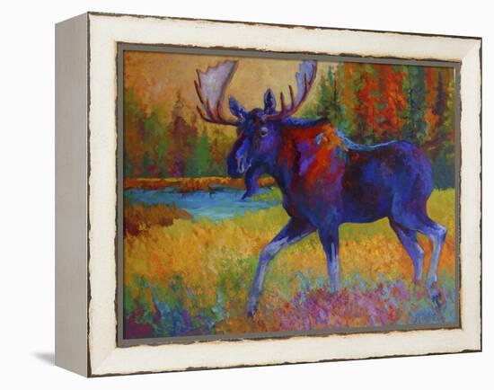 Majestic Moose-Marion Rose-Framed Premier Image Canvas