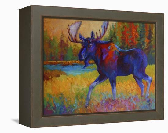 Majestic Moose-Marion Rose-Framed Premier Image Canvas