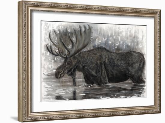 Majestic Moose-Angela Bawden-Framed Art Print