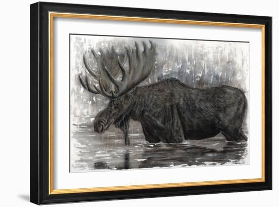 Majestic Moose-Angela Bawden-Framed Art Print