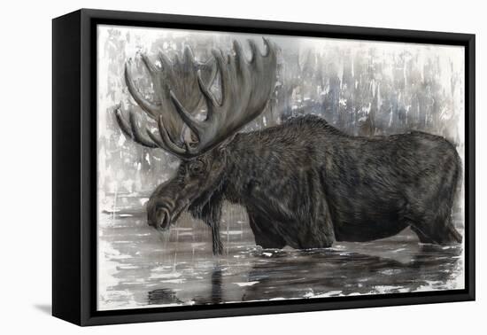 Majestic Moose-Angela Bawden-Framed Stretched Canvas