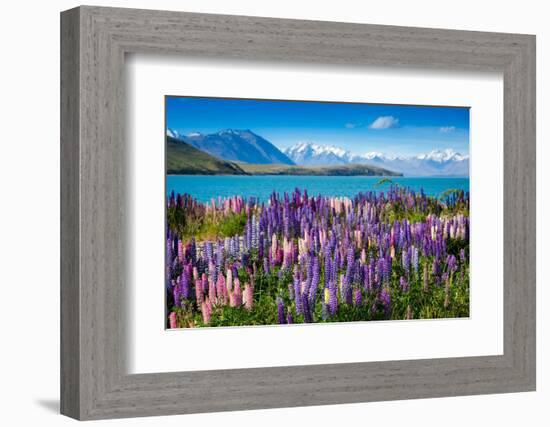 Majestic Mountain Lake with Lupins Blooming-Olga_Danylenko-Framed Photographic Print