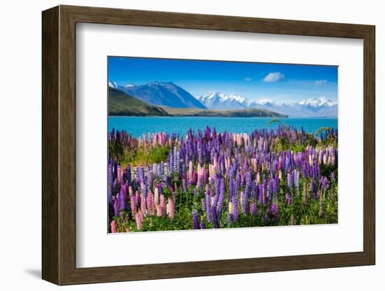 Majestic Mountain Lake with Lupins Blooming-Olga_Danylenko-Framed Photographic Print