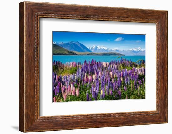 Majestic Mountain Lake with Lupins Blooming-Olga_Danylenko-Framed Photographic Print