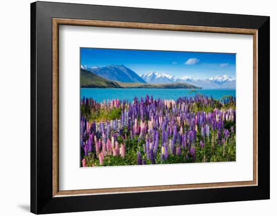 Majestic Mountain Lake with Lupins Blooming-Olga_Danylenko-Framed Photographic Print