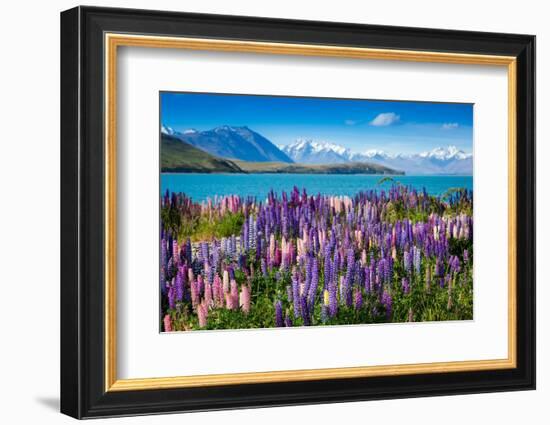 Majestic Mountain Lake with Lupins Blooming-Olga_Danylenko-Framed Photographic Print