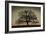 Majestic Oak-David Winston-Framed Art Print