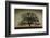 Majestic Oak-David Lorenz Winston-Framed Art Print