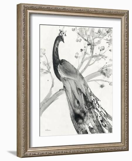 Majestic Peacock-Albena Hristova-Framed Art Print