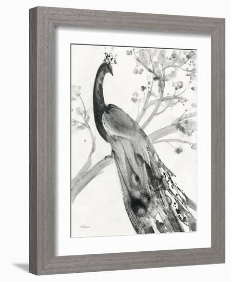 Majestic Peacock-Albena Hristova-Framed Art Print