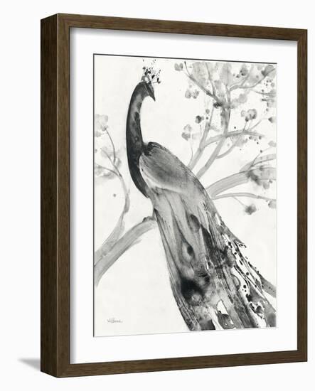 Majestic Peacock-Albena Hristova-Framed Art Print
