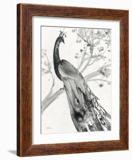 Majestic Peacock-Albena Hristova-Framed Art Print