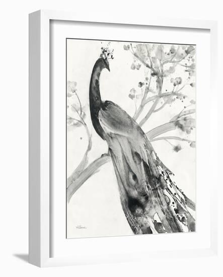 Majestic Peacock-Albena Hristova-Framed Art Print