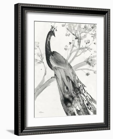 Majestic Peacock-Albena Hristova-Framed Art Print