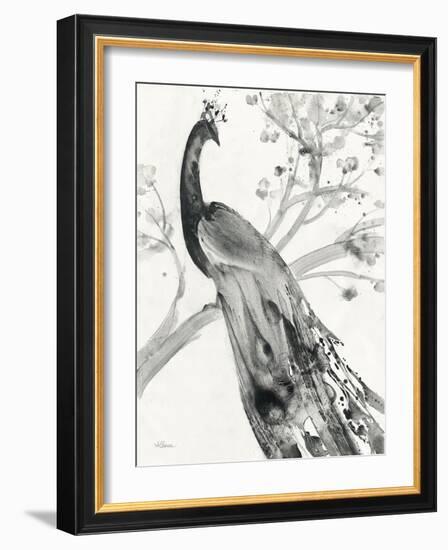 Majestic Peacock-Albena Hristova-Framed Art Print