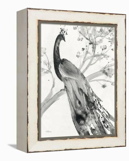 Majestic Peacock-Albena Hristova-Framed Stretched Canvas