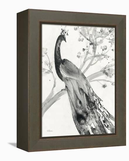 Majestic Peacock-Albena Hristova-Framed Stretched Canvas