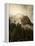 Majestic Peak-Natalie Mikaels-Framed Premier Image Canvas