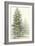 Majestic Pine I-null-Framed Art Print