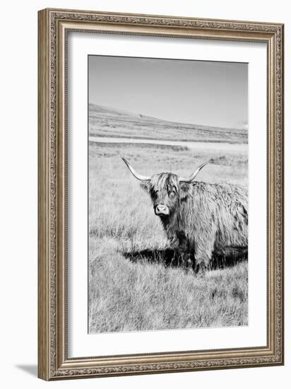 Majestic Study-James Guilliam-Framed Giclee Print