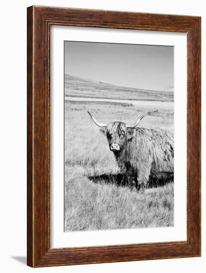 Majestic Study-James Guilliam-Framed Giclee Print