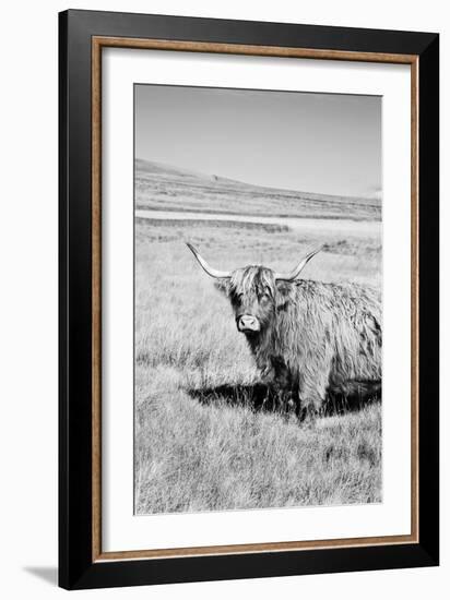 Majestic Study-James Guilliam-Framed Giclee Print