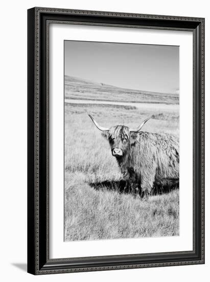 Majestic Study-James Guilliam-Framed Giclee Print