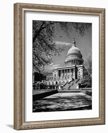 Majestic View of US Capitol Building Framed by Budding Branches of Cherry Trees on a Beautiful Day-Andreas Feininger-Framed Photographic Print