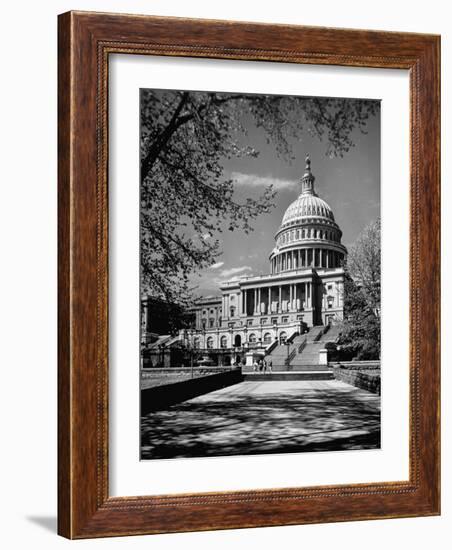 Majestic View of US Capitol Building Framed by Budding Branches of Cherry Trees on a Beautiful Day-Andreas Feininger-Framed Photographic Print