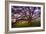 Majestic Wild Oak, Petaluma, California-null-Framed Photographic Print