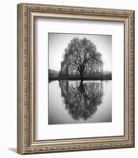 Majestic Willow-null-Framed Art Print