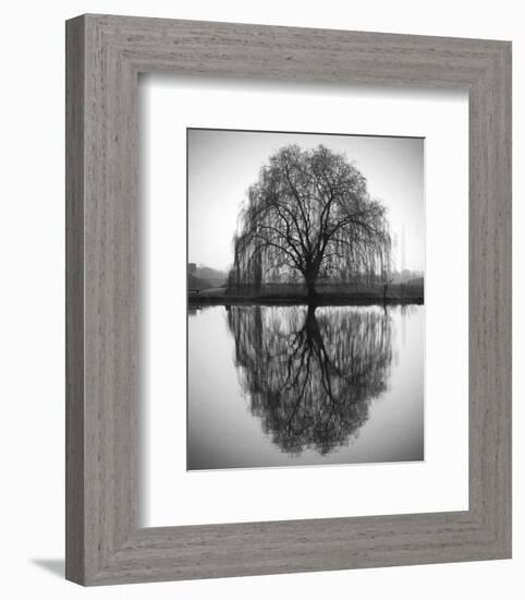 Majestic Willow-null-Framed Art Print