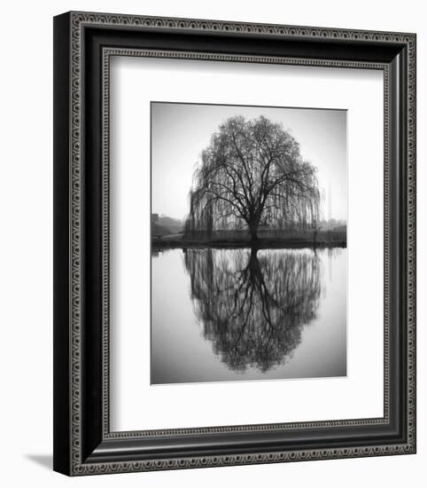 Majestic Willow-null-Framed Art Print