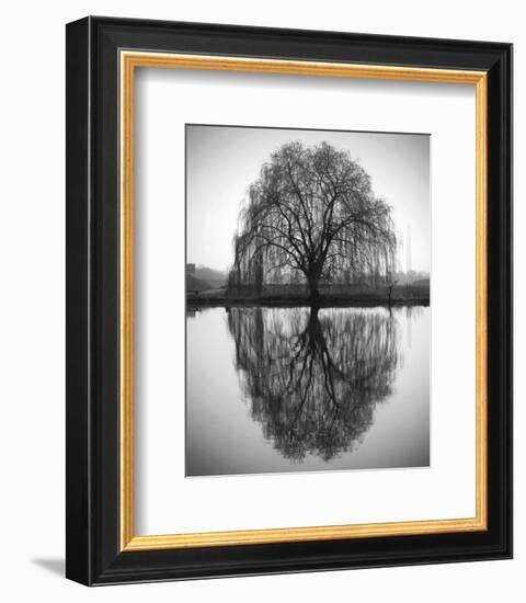 Majestic Willow-null-Framed Art Print