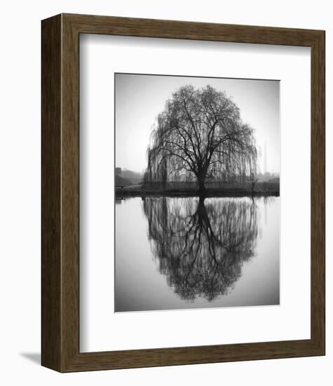 Majestic Willow-null-Framed Art Print