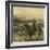 Major General W.T. Sherman and Horse, 1864 (B/W Photo)-Mathew Brady-Framed Giclee Print