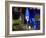 Majorelle Garden, Restored by the Couturier Yves Saint-Laurent, Marrakesh, Morocco-De Mann Jean-Pierre-Framed Photographic Print