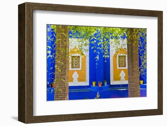 Majorelle Gardens (Gardens of Yves Saint-Laurent), Marrakech, Morocco, North Africa, Africa-Matthew Williams-Ellis-Framed Photographic Print