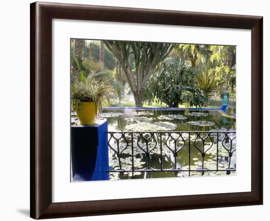 Majorelle Gardens, Marrakech (Marrakesh), Morocco, North Africa, Africa-Bruno Morandi-Framed Photographic Print