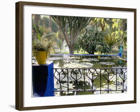 Majorelle Gardens, Marrakech (Marrakesh), Morocco, North Africa, Africa-Bruno Morandi-Framed Photographic Print