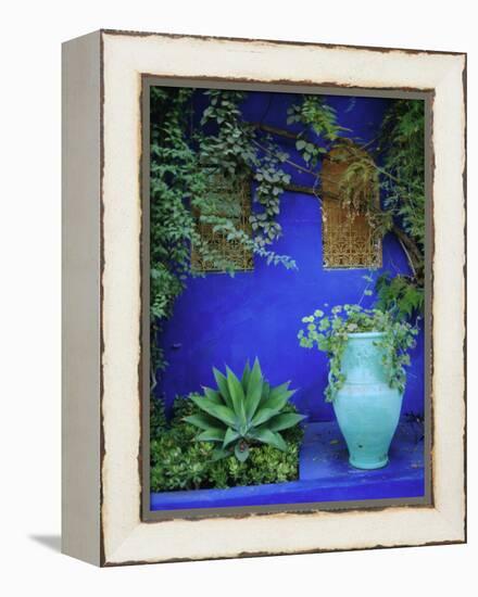 Majorelle Gardens, Marrakesh, Morocco, North Africa-Bruno Morandi-Framed Premier Image Canvas