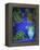 Majorelle Gardens, Marrakesh, Morocco, North Africa-Bruno Morandi-Framed Premier Image Canvas