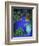 Majorelle Gardens, Marrakesh, Morocco, North Africa-Bruno Morandi-Framed Photographic Print